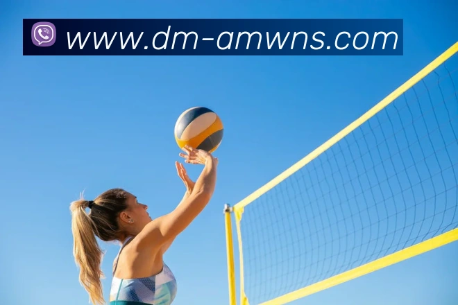 威尼斯人娱乐网站发展历程